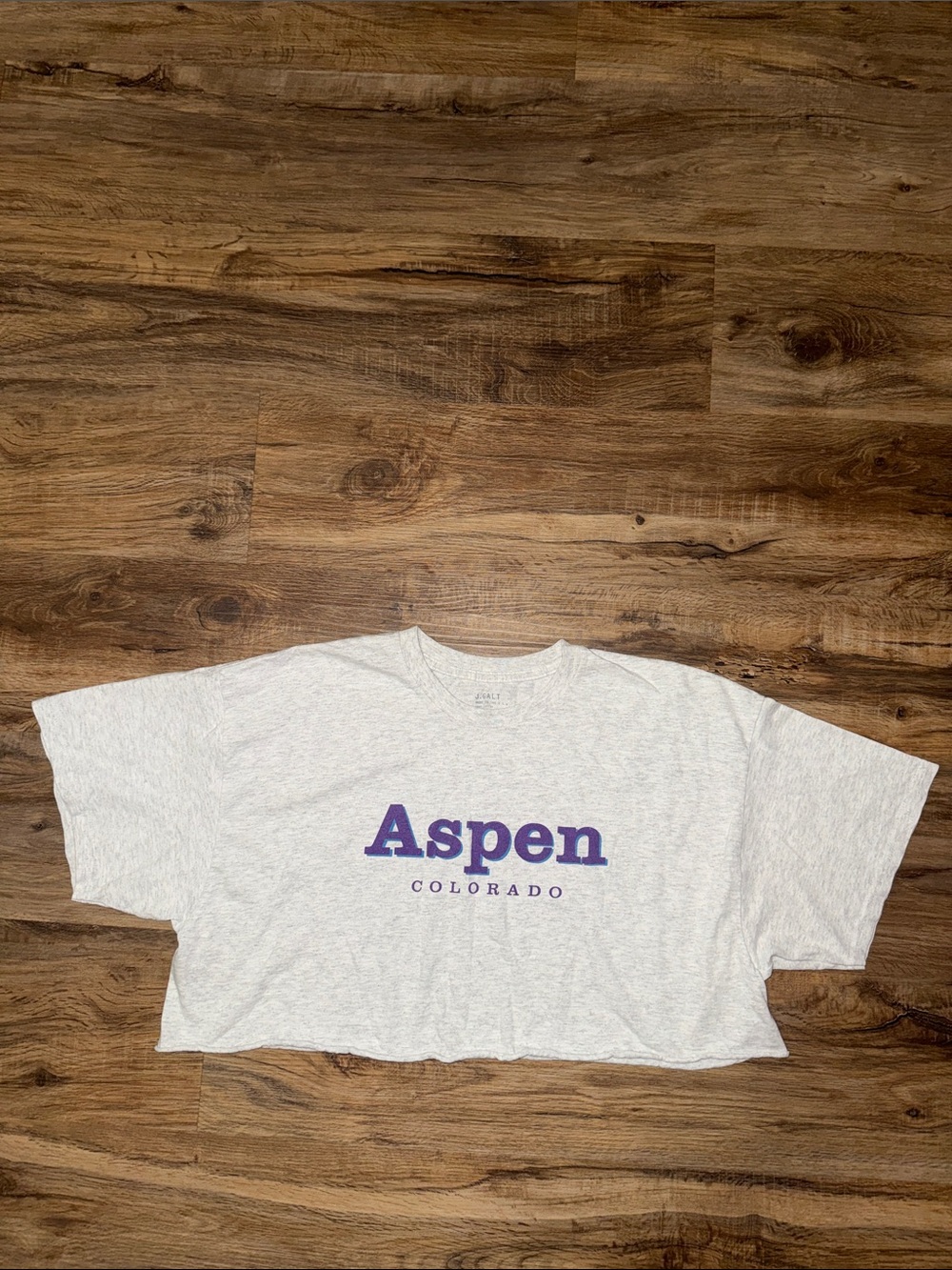 Brandy Melville J. Galt Aspen Colorado Cropped Tee
